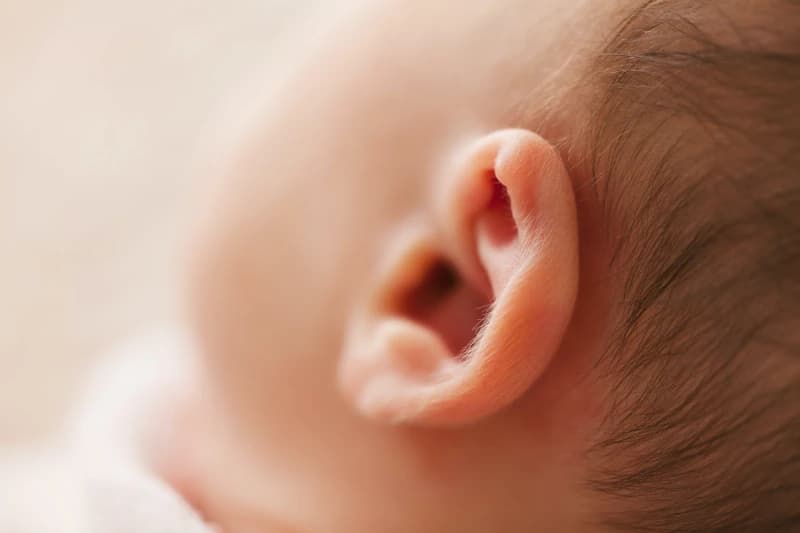 Fonoaudiología